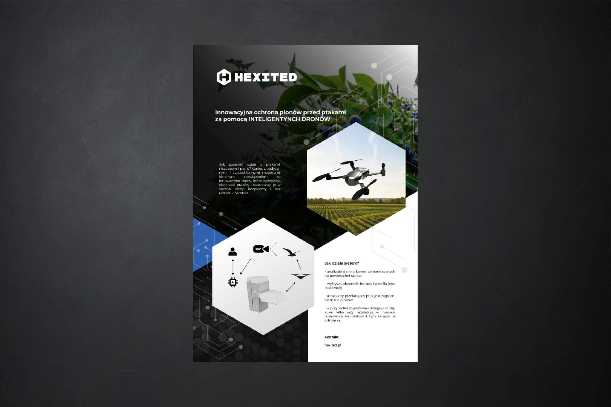 Hexited strona reklamowa Hexited strona reklamowa