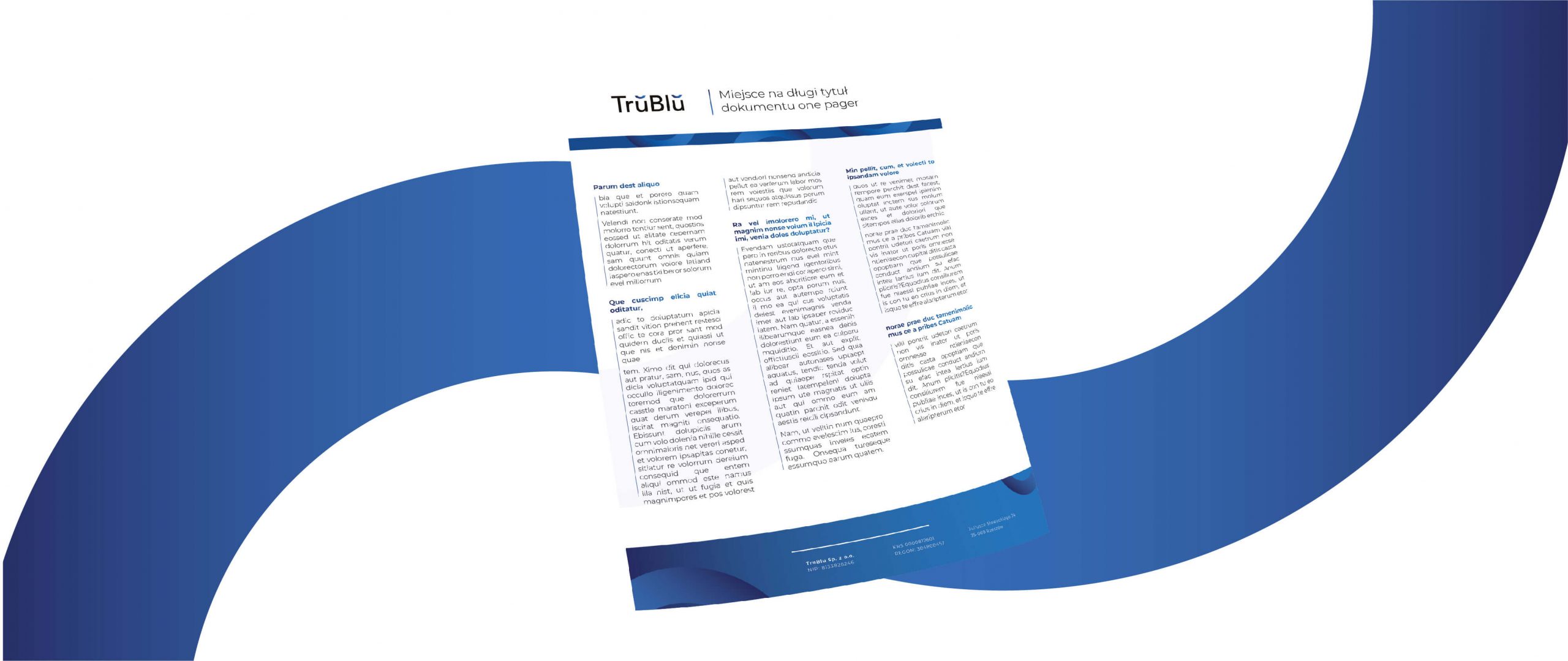 TruBlu one pager