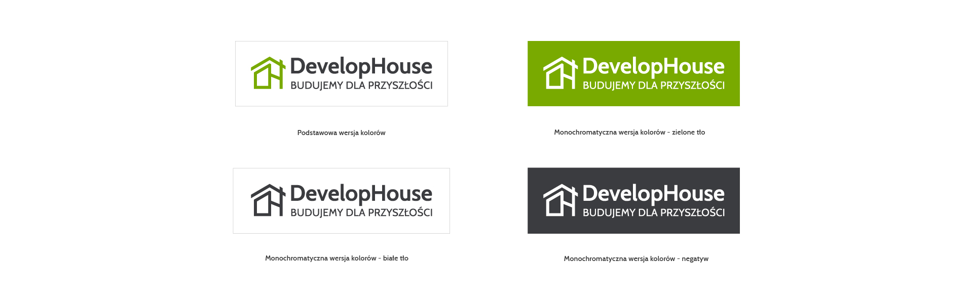 DevelopHouse logo wersje kolorystyczne DevelopHouse logo wersje kolorystyczne