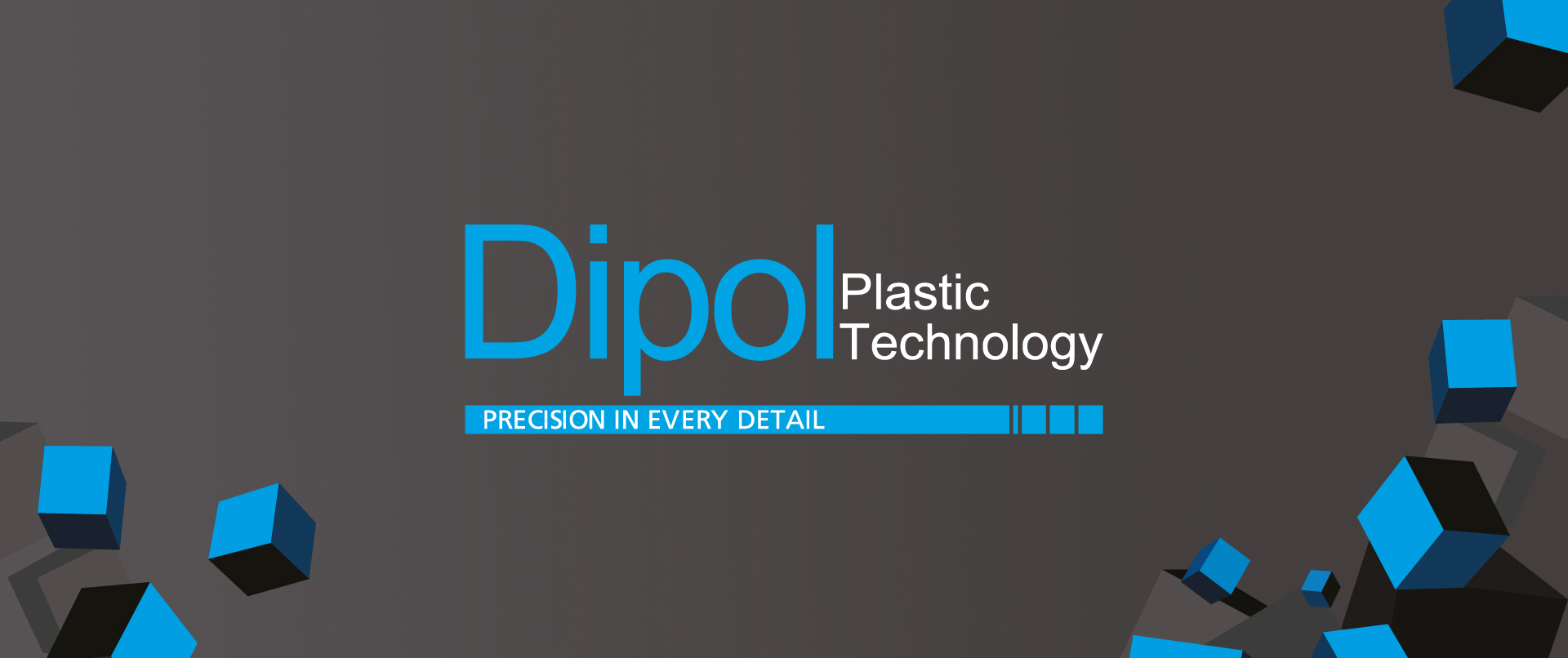 HV_portfolio_www_dipol_DH_logo_głównagrafika